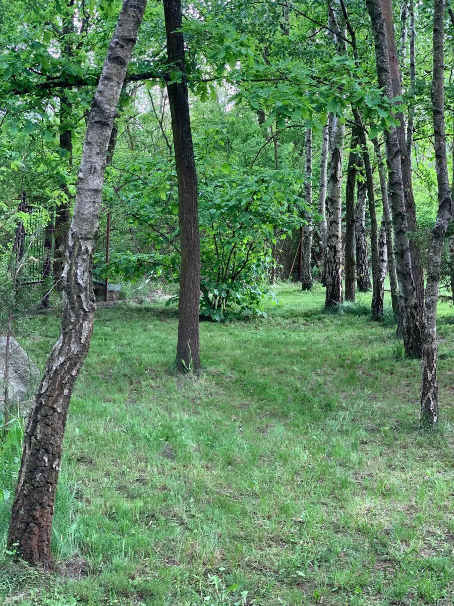 bls_nieruchomosci_zs_EC307882_3.jpg