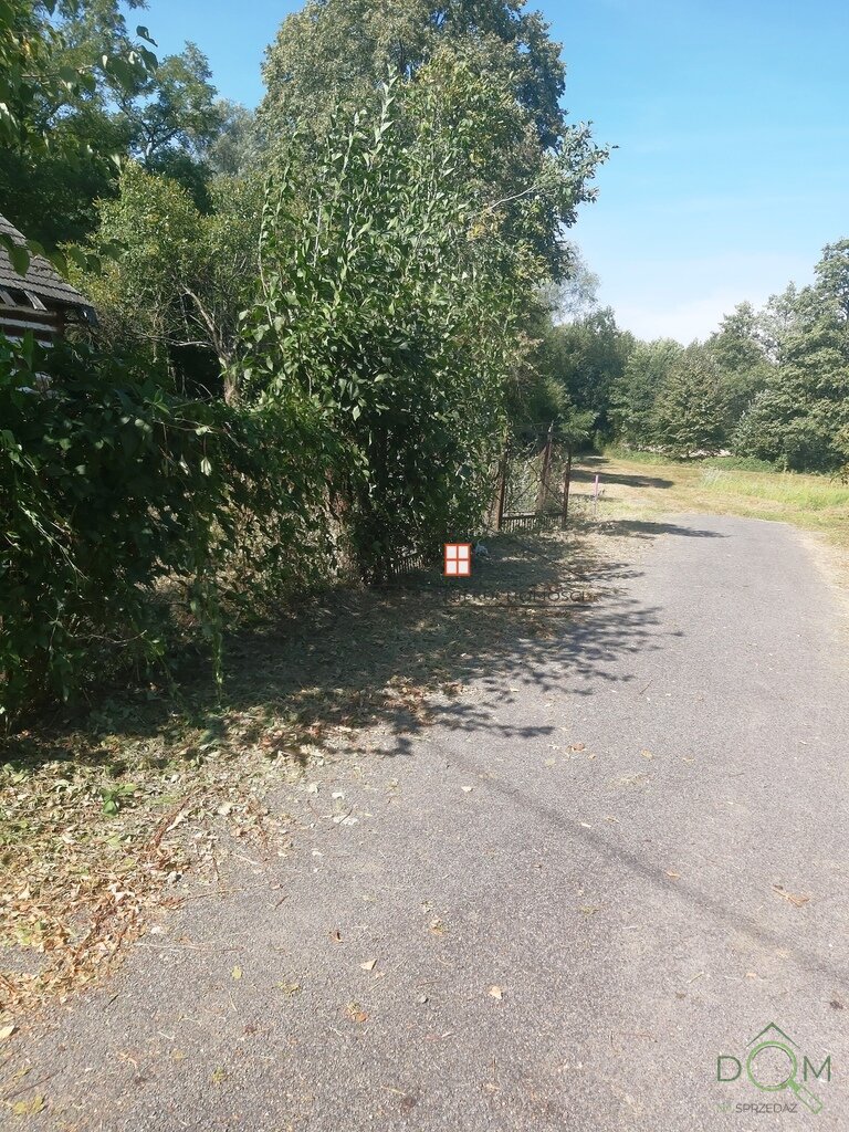 107515215.jpg