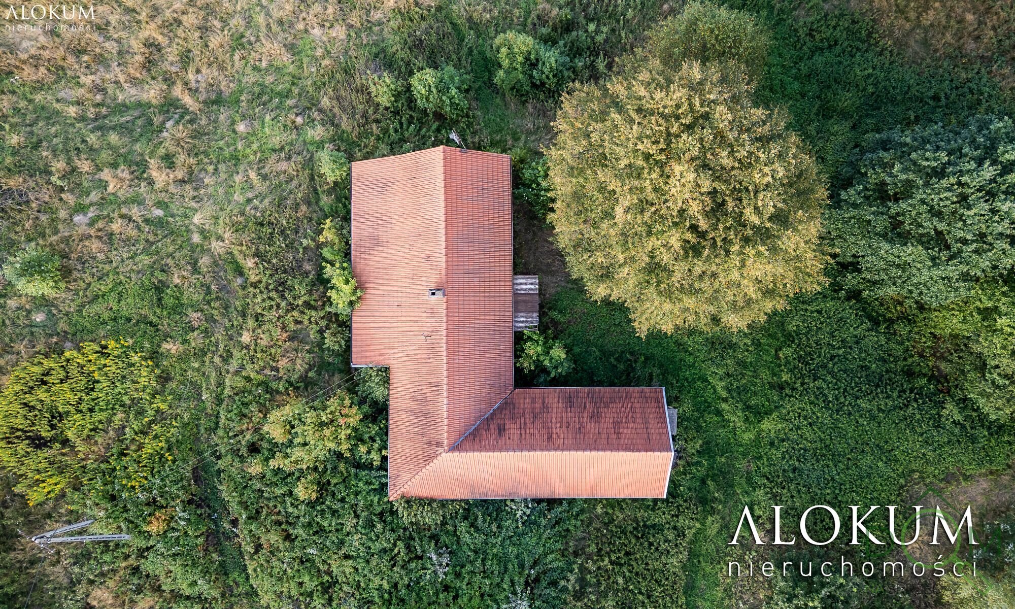 alokum_nieruchomosci_zs_3254_9.jpg