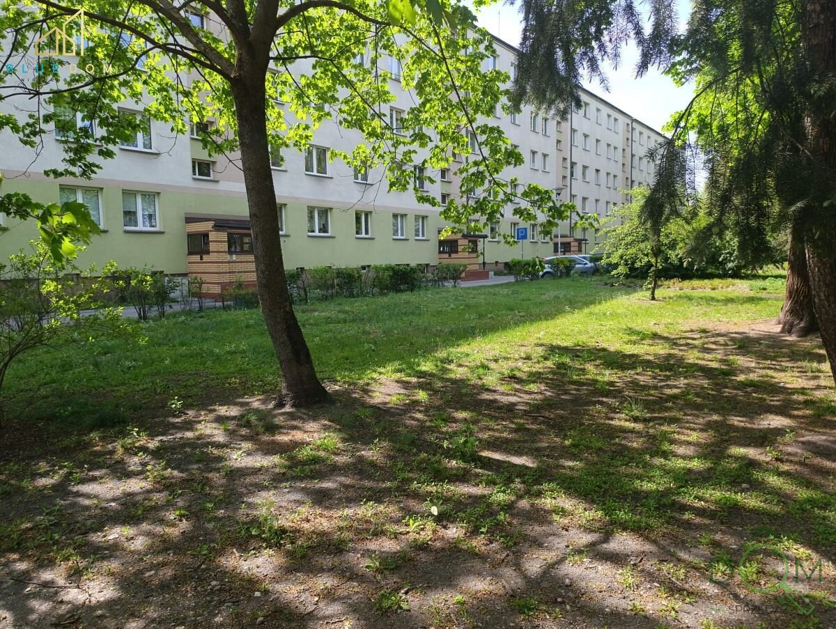 bluedom_nieruchomosci_ms_284_10.jpg