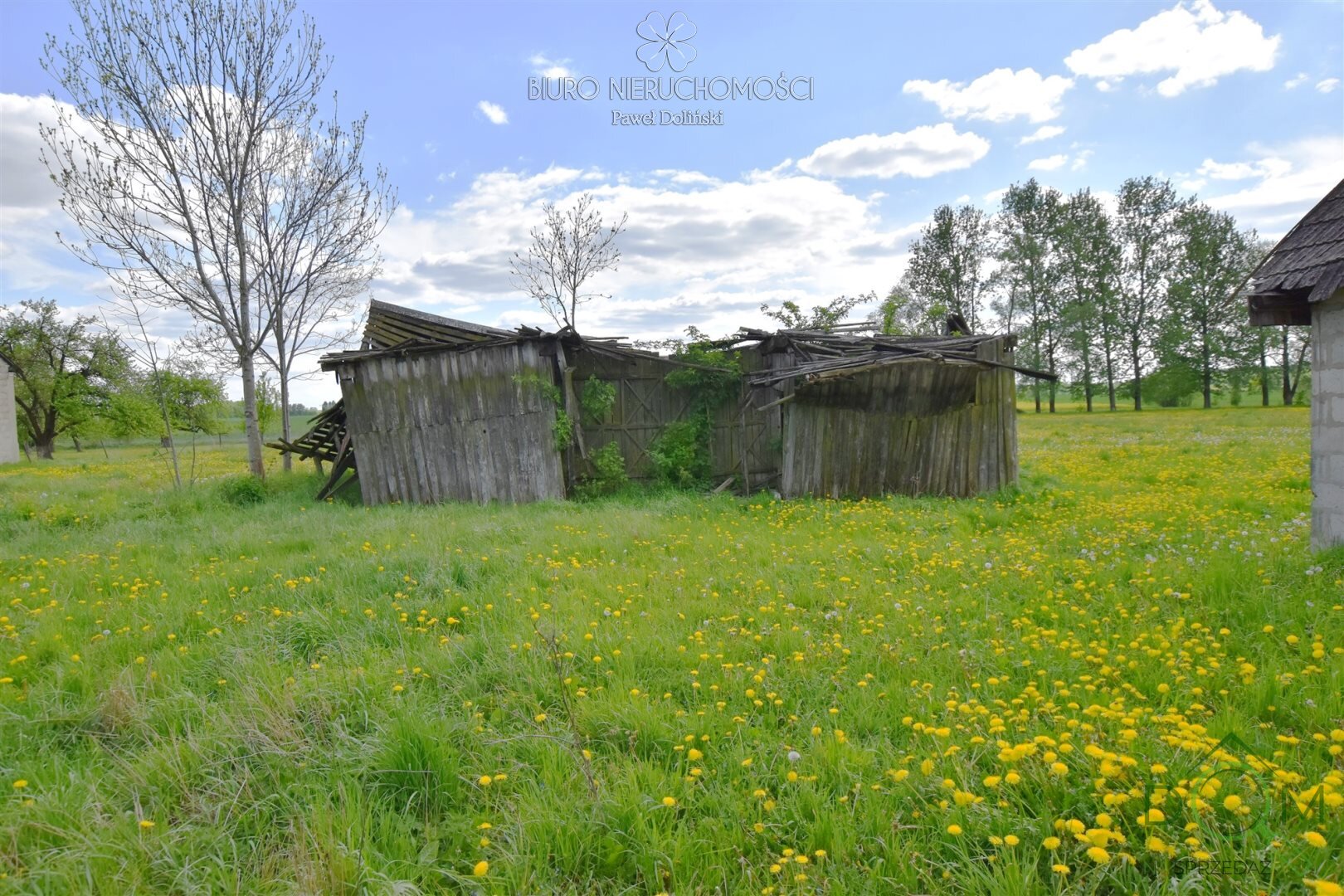 dolinscy_nieruchomosci_ds_PDN-DS-55_15.jpg