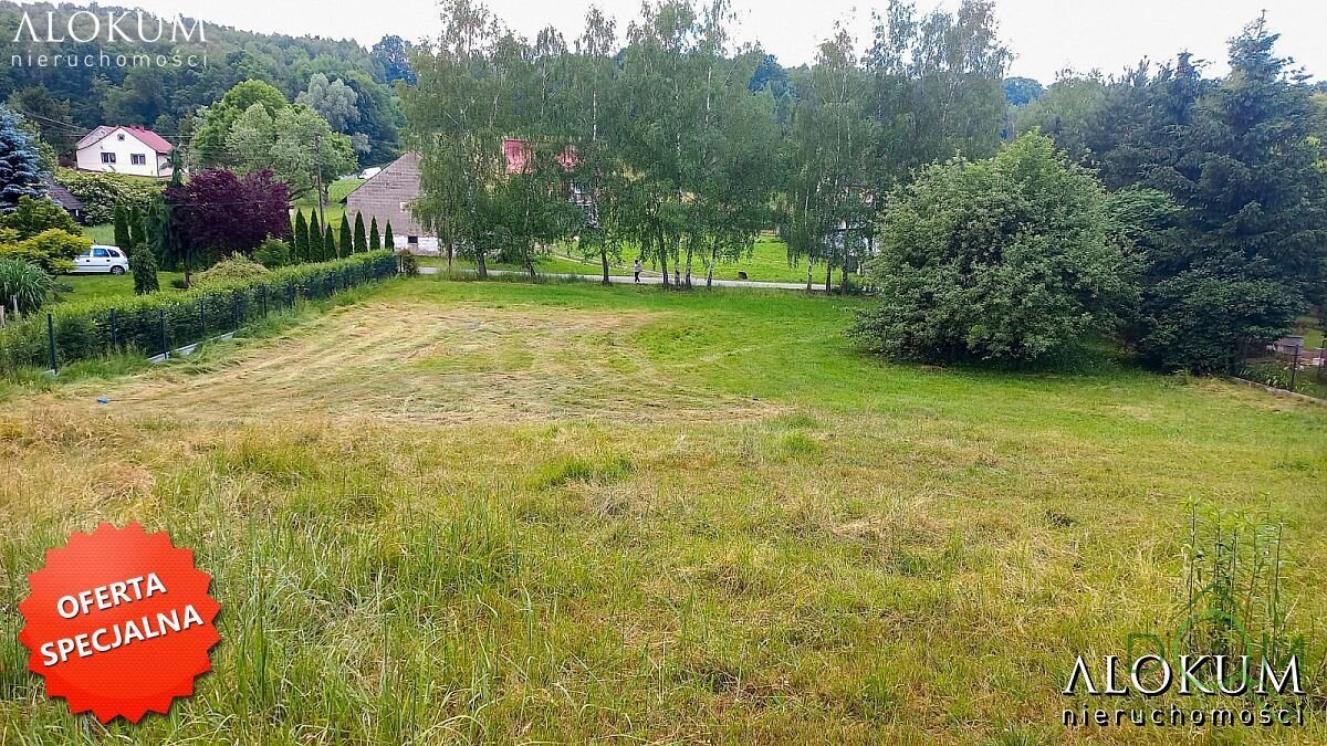 alokum_nieruchomosci_zs_248_1.jpg