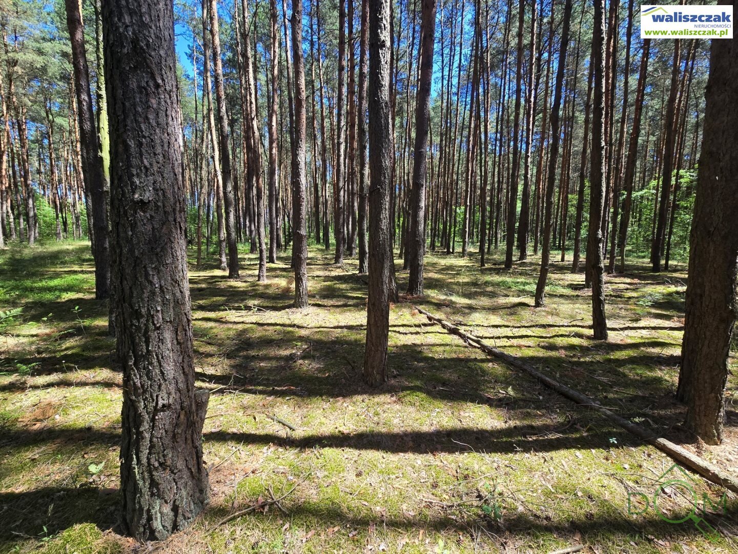 waliszczak_nieruchomosci_zs_GS-14515_3.jpg
