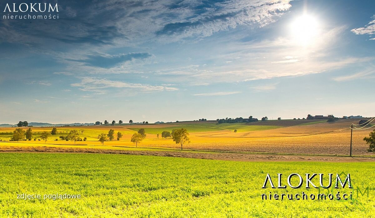 alokum_nieruchomosci_zs_2868_1.jpg