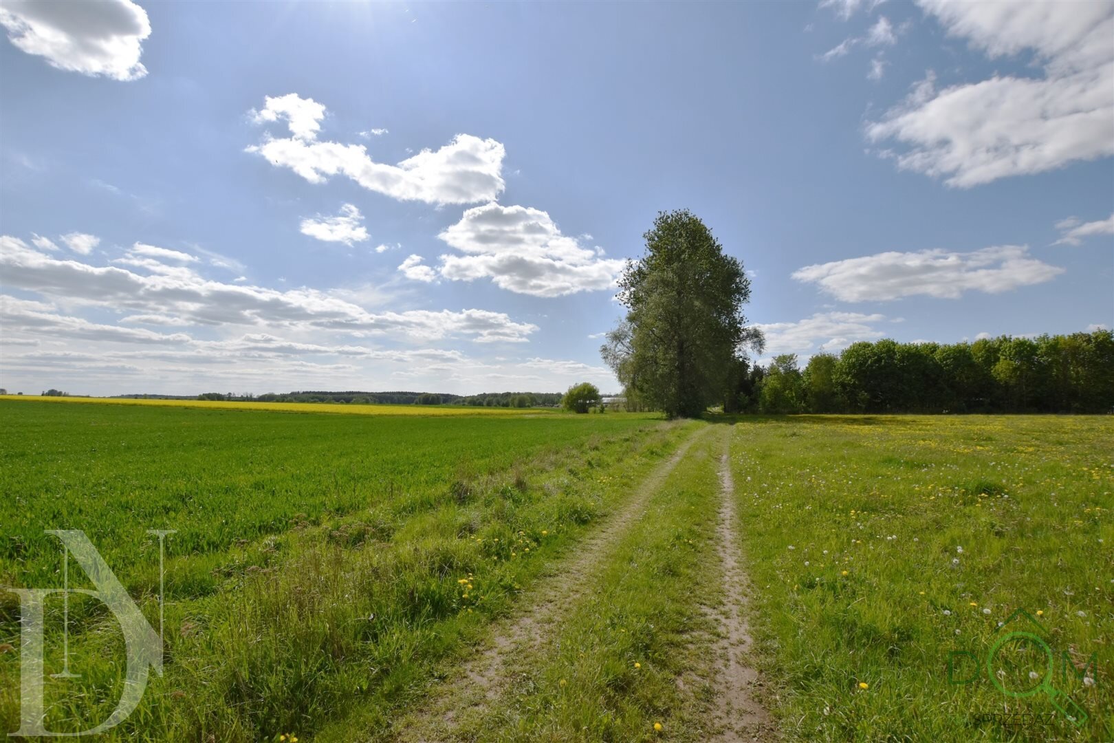 dolinscy_nieruchomosci_ds_PDN-DS-55-1_26.jpg