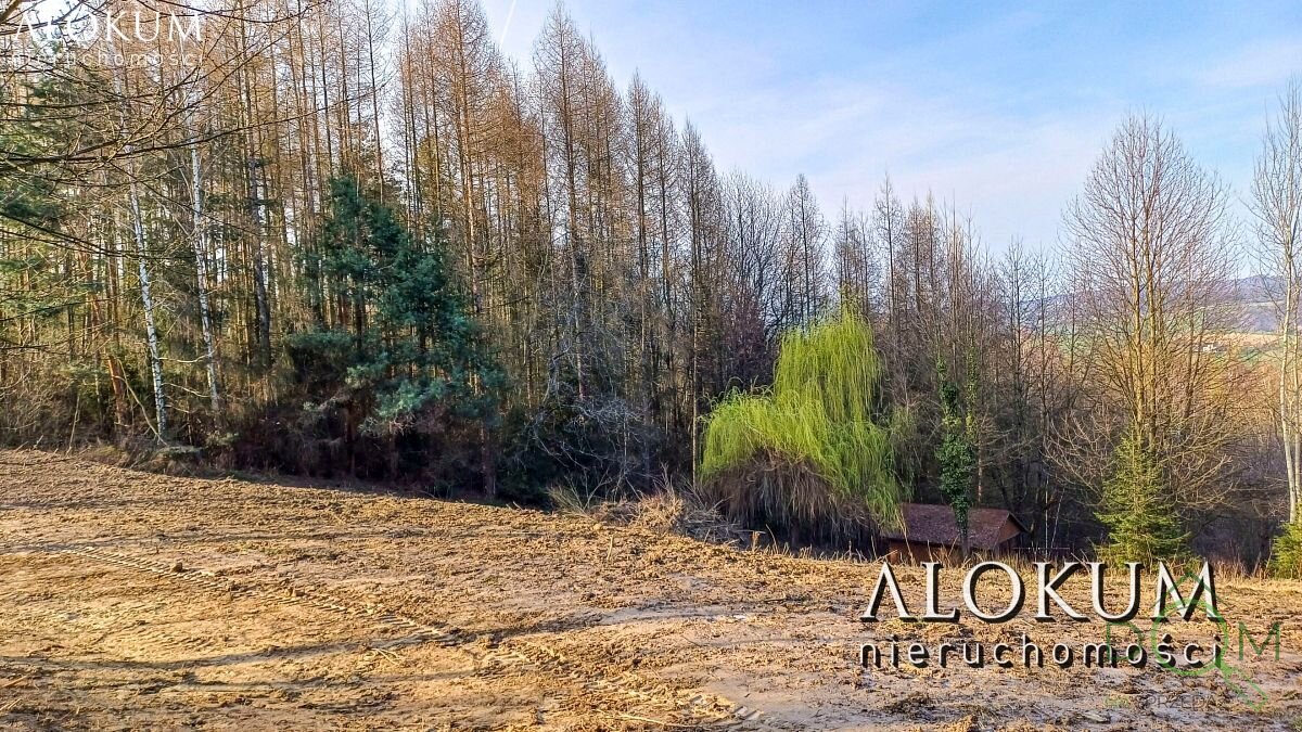 alokum_nieruchomosci_zs_3036_8.jpg