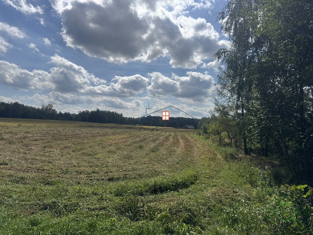 107473890.jpg