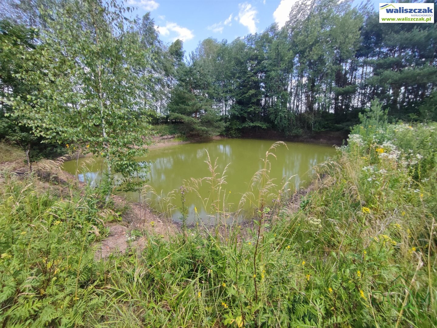 waliszczak_nieruchomosci_ds_DS-14502_30.jpg
