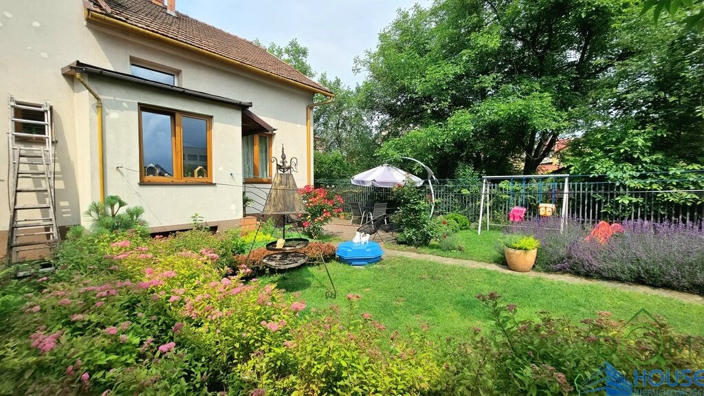 113426954.jpg