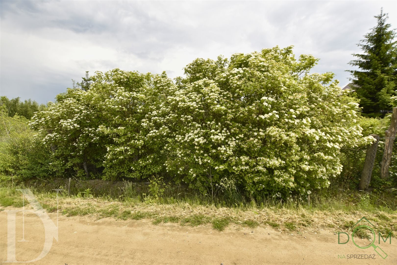 dolinscy_nieruchomosci_zs_PDN-GS-107_4.jpg
