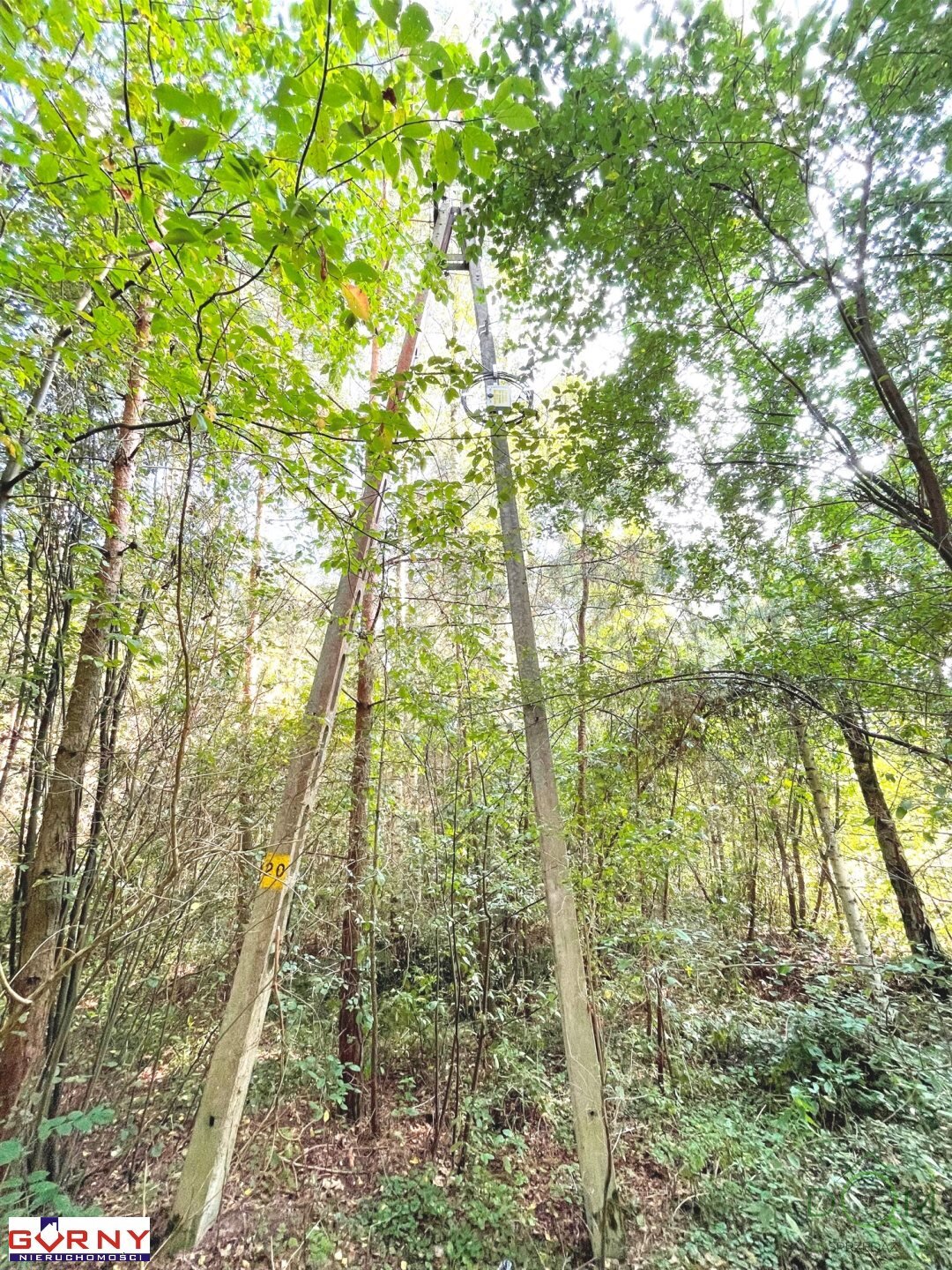 gorny_nieruchomosci_zs_NIG-GS-4474_6.jpg