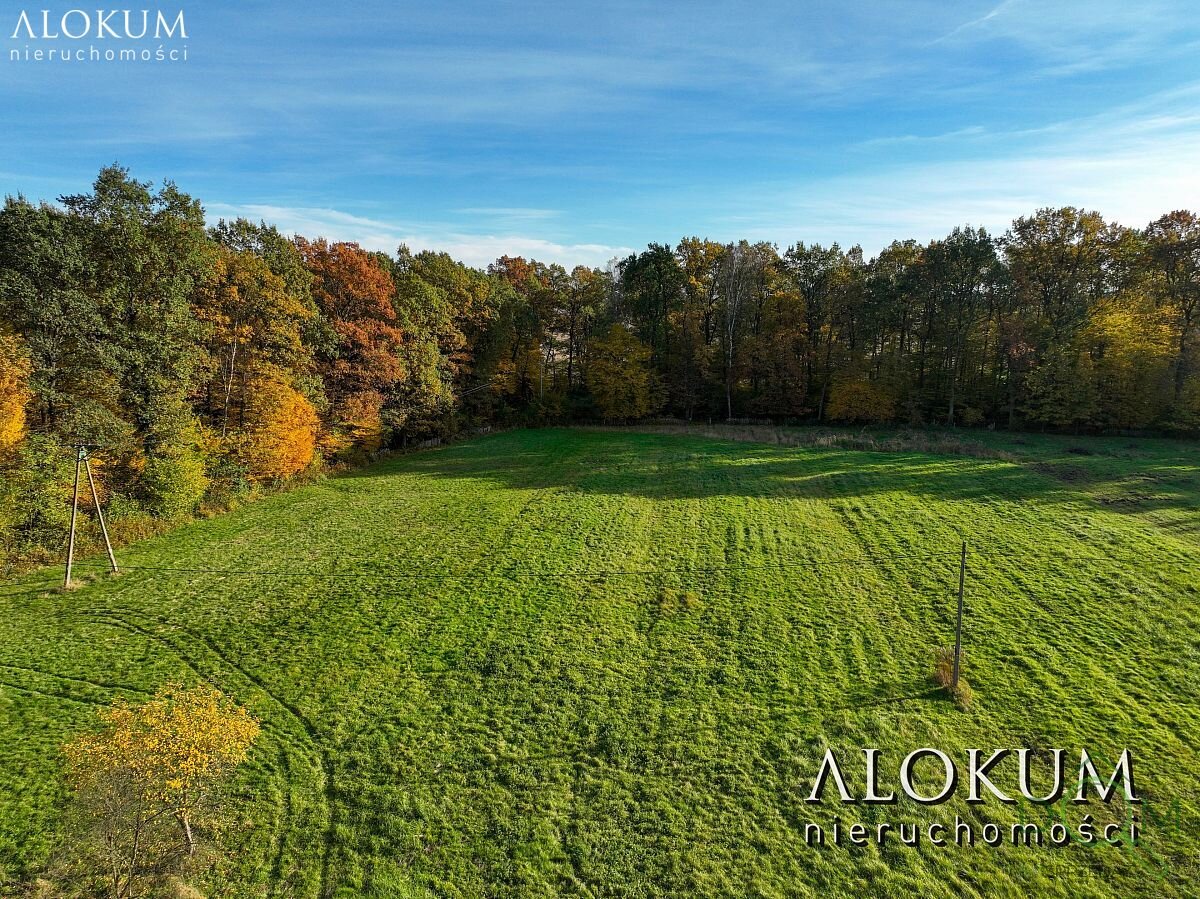 alokum_nieruchomosci_ds_3167_2.jpg