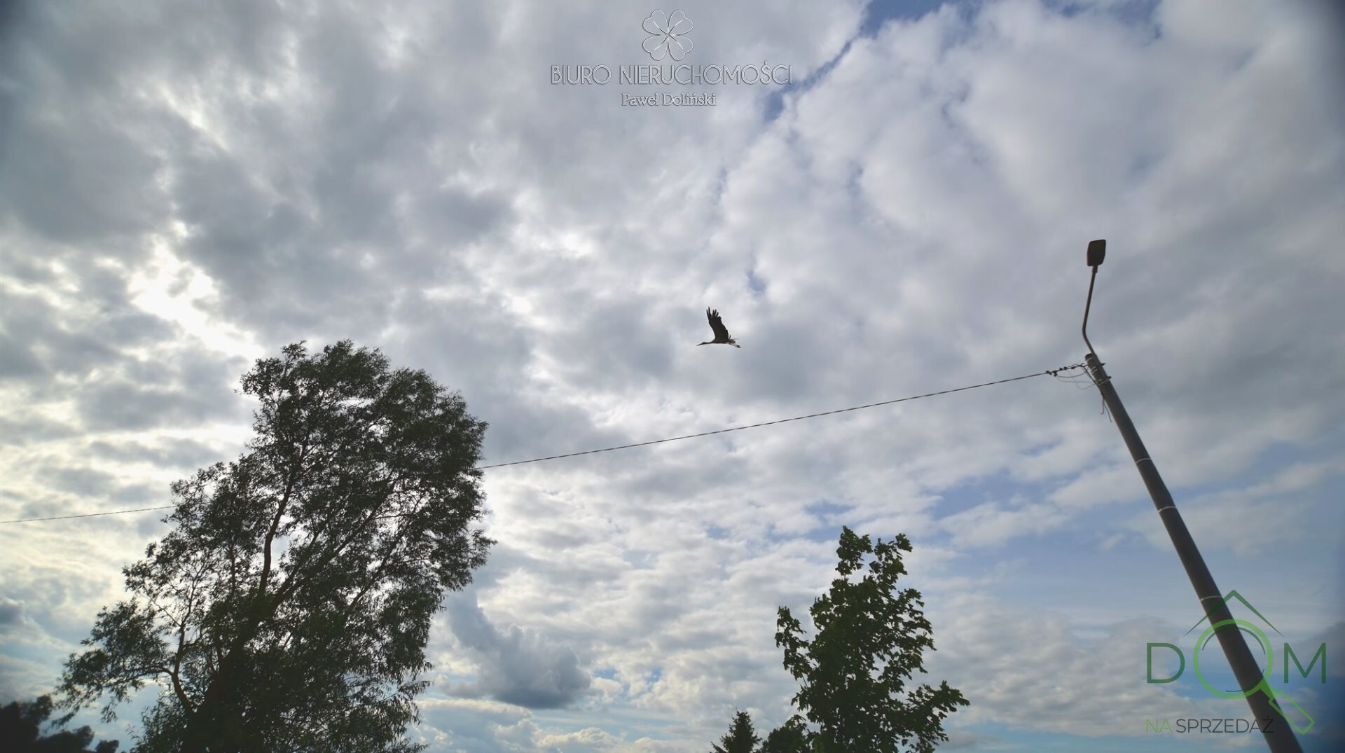 dolinscy_nieruchomosci_zs_PDN-GS-23-1_10.jpg