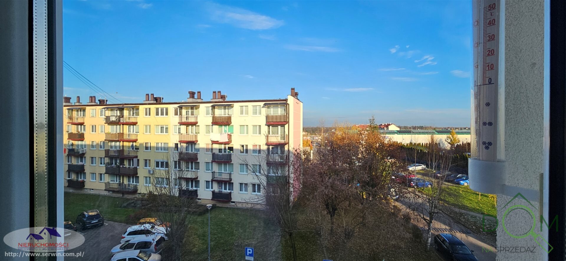 jolanta_serwin_ms_JSN-MS-3035_18.jpg