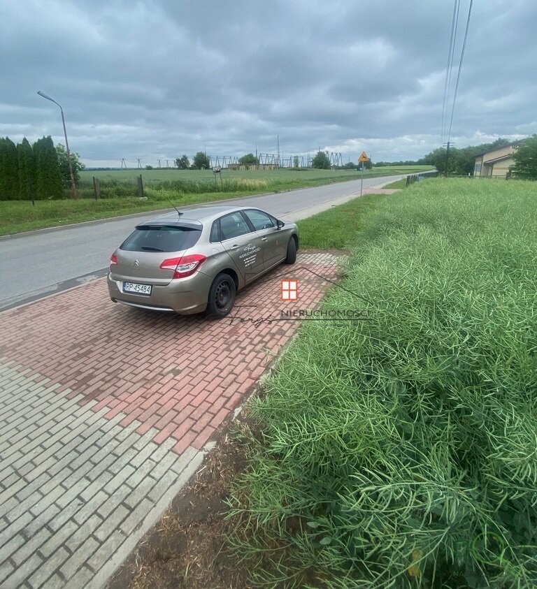 113957791.jpg