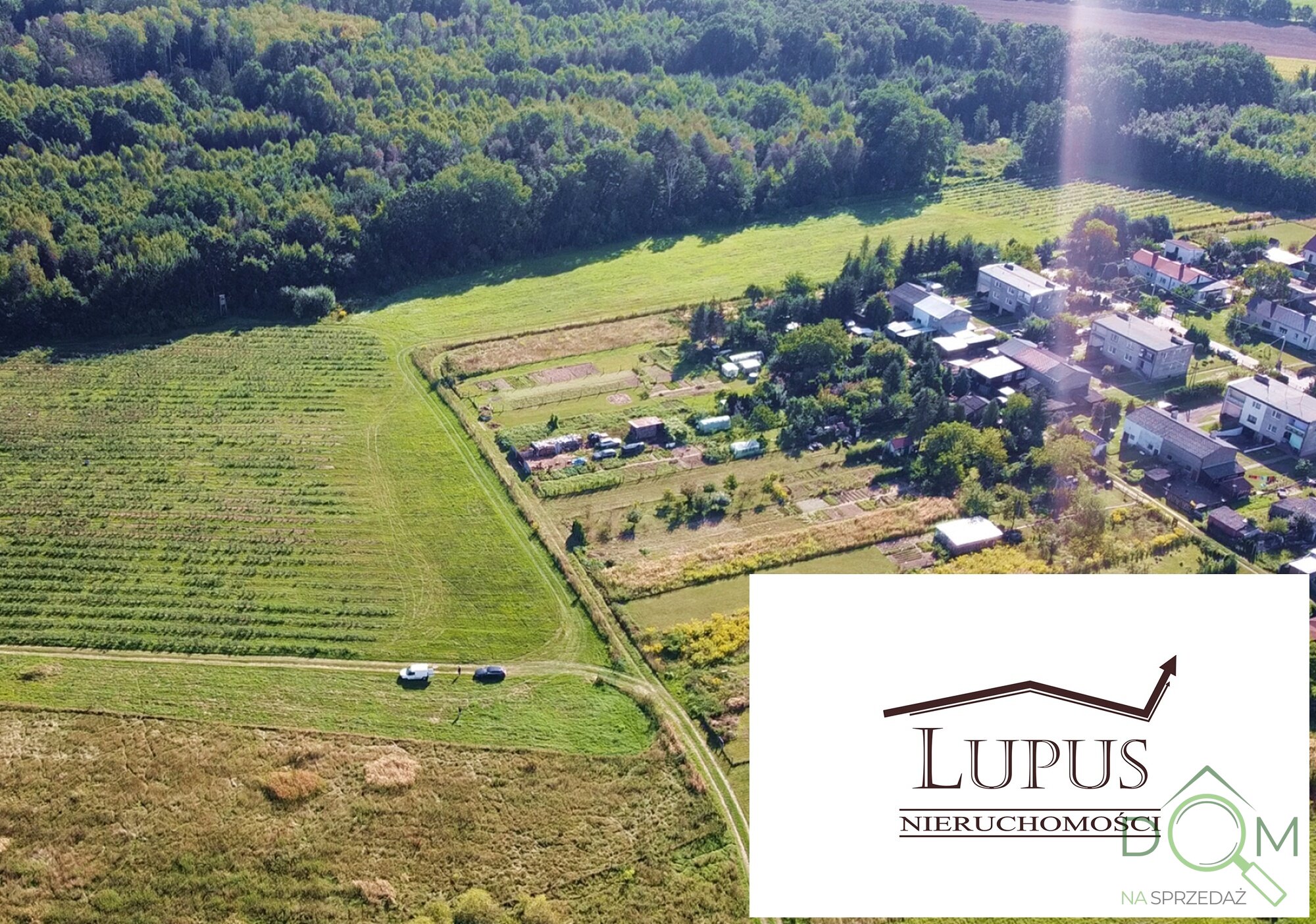 lupus_nieruchomosci_zs_2194_6.jpg
