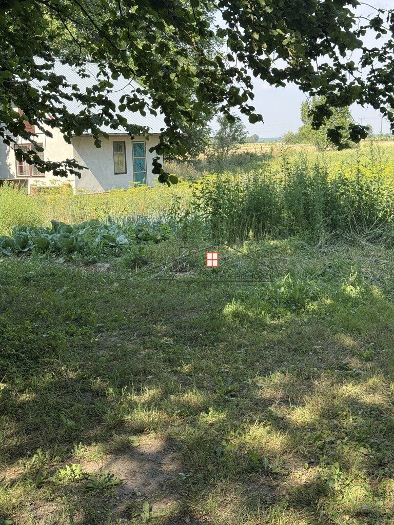 113815747.jpg