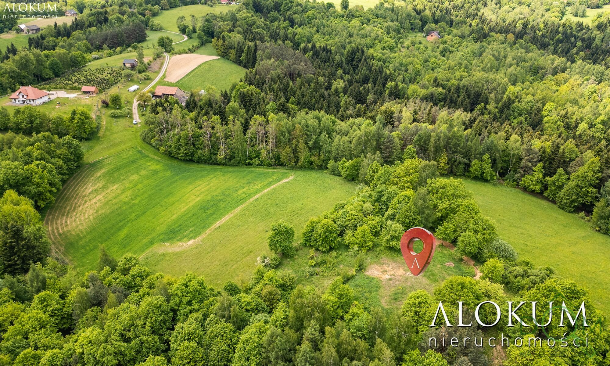 alokum_nieruchomosci_zs_3021_4.jpg