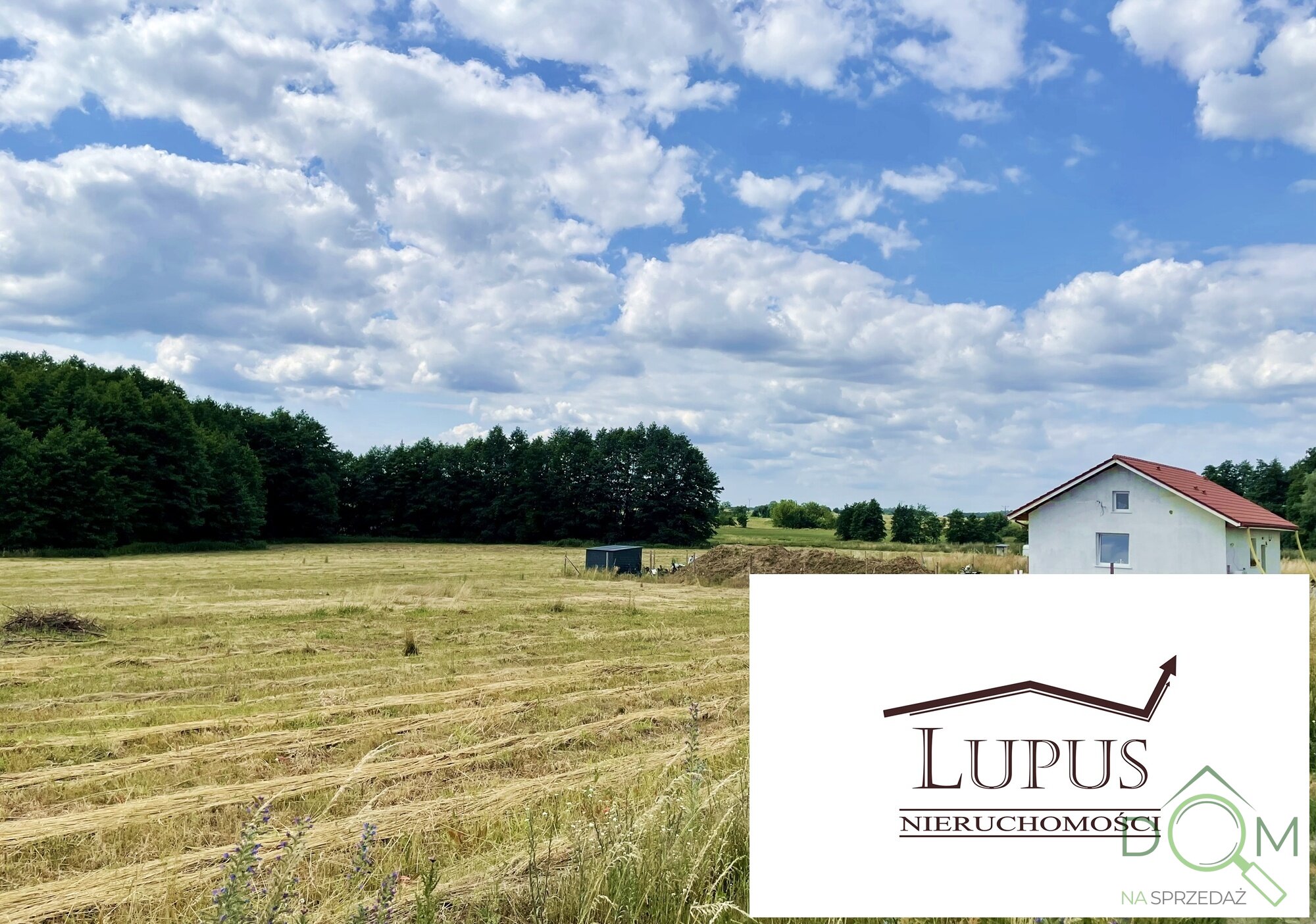 lupus_nieruchomosci_zs_2192_10.jpg