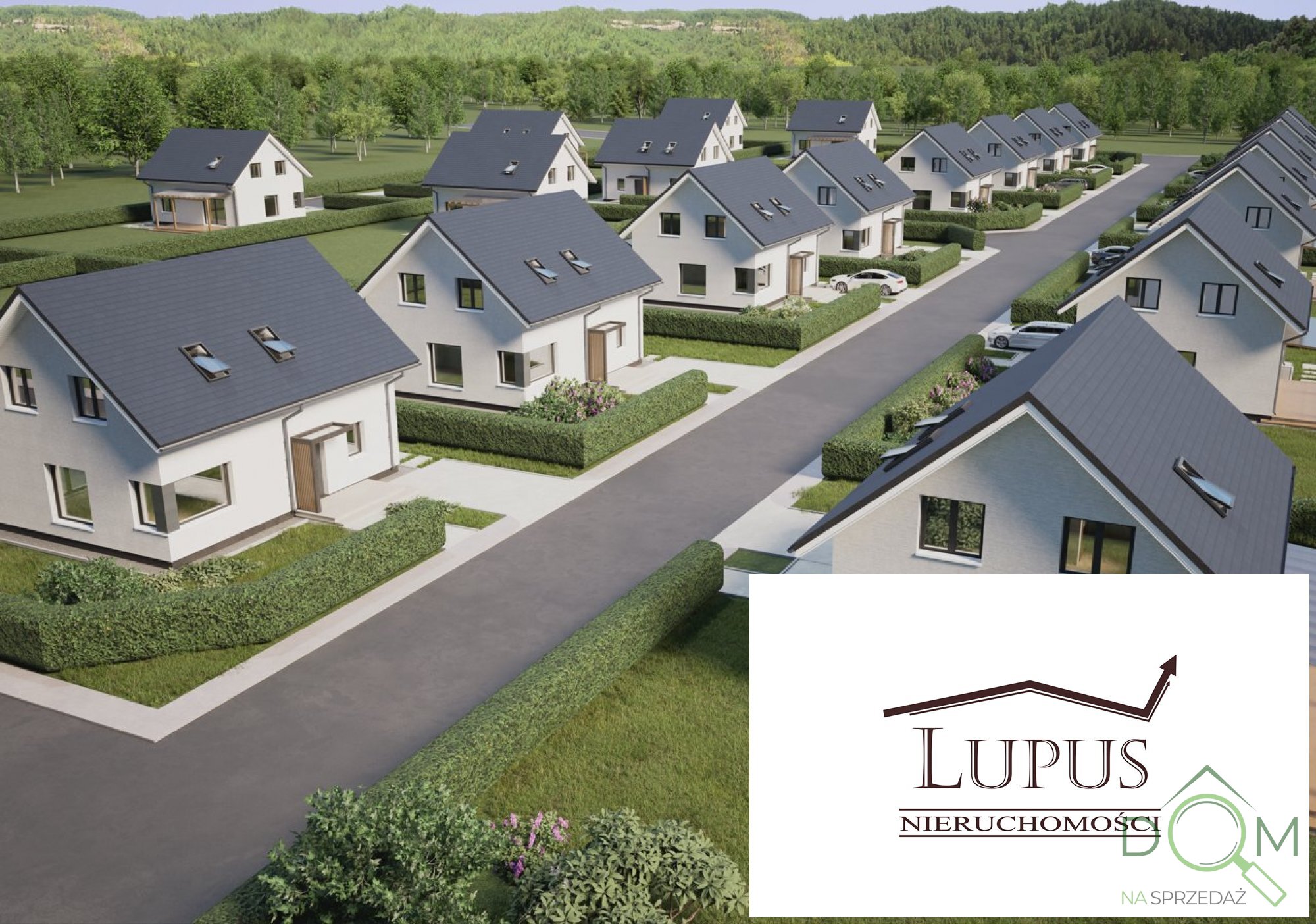 lupus_nieruchomosci_ds_2241_16.jpg