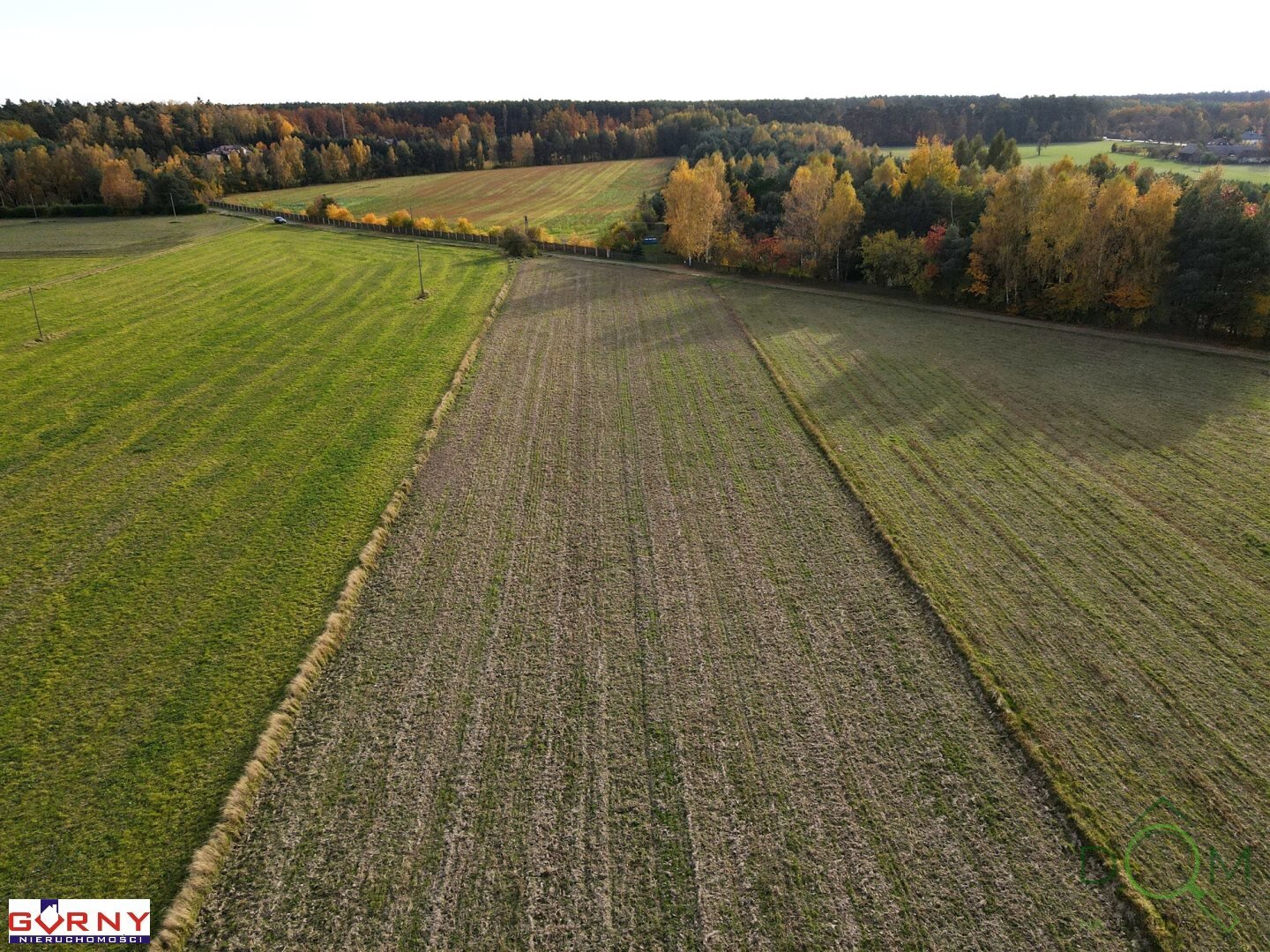 gorny_nieruchomosci_zs_NIG-GS-4002_7.jpg