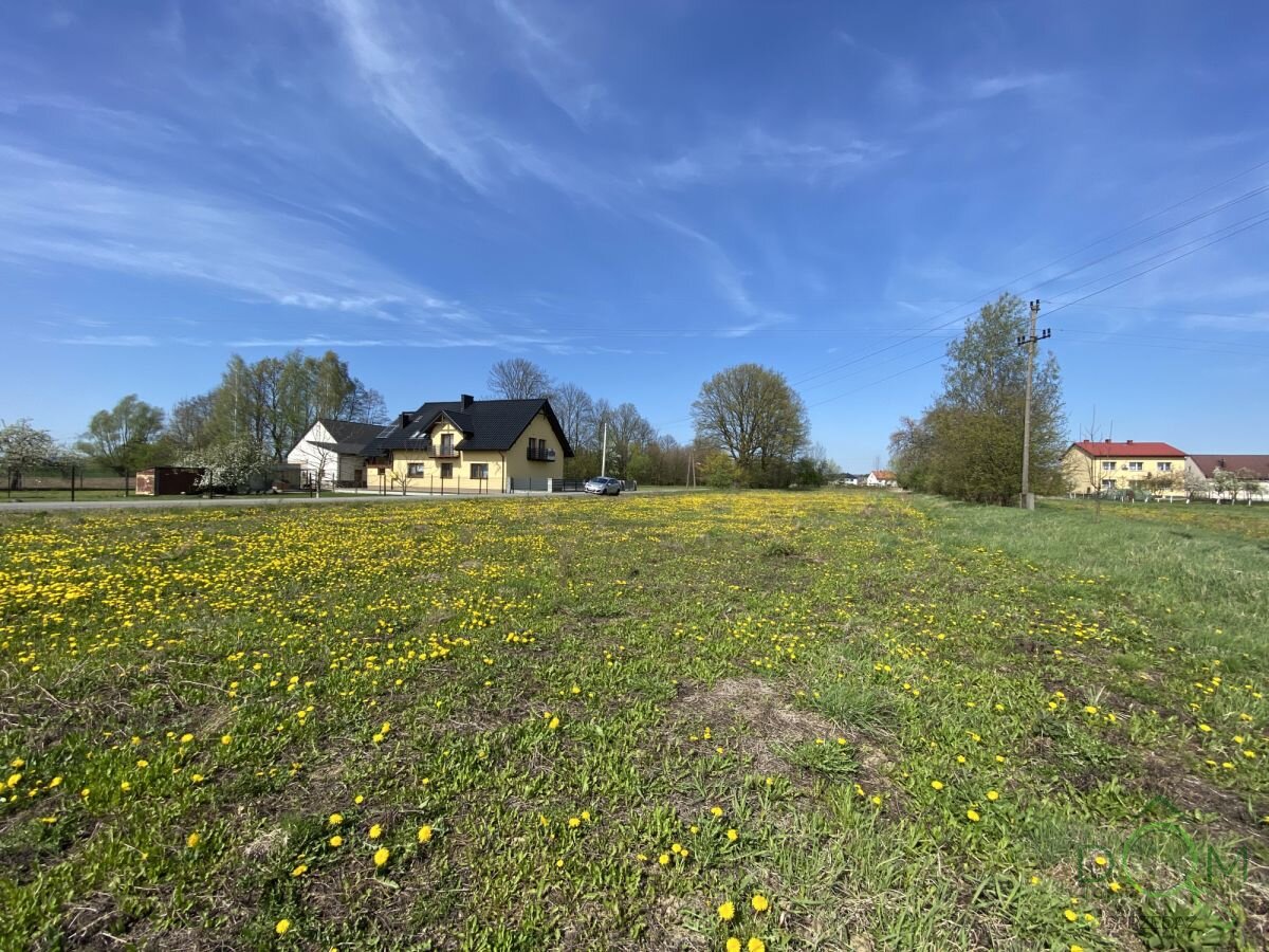 pozysk_nieruchomosci_zs_841406_14.jpg