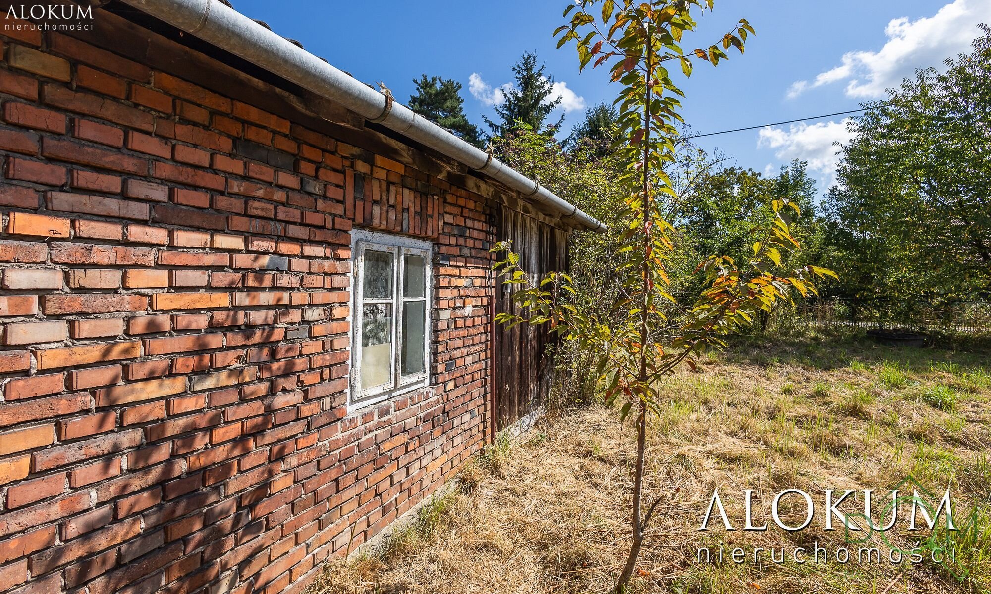alokum_nieruchomosci_ds_2970_22.jpg