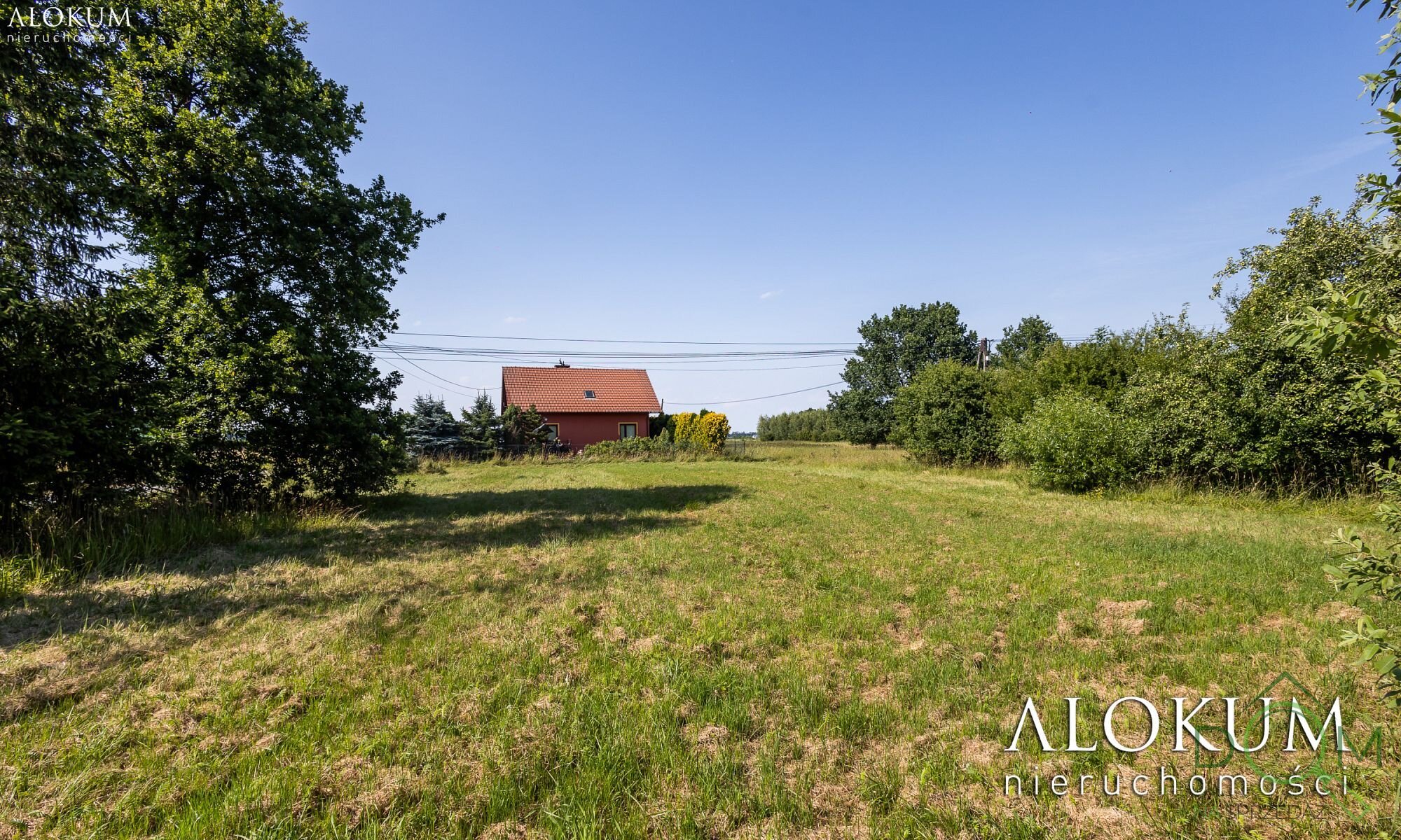 alokum_nieruchomosci_zs_2962_10.jpg