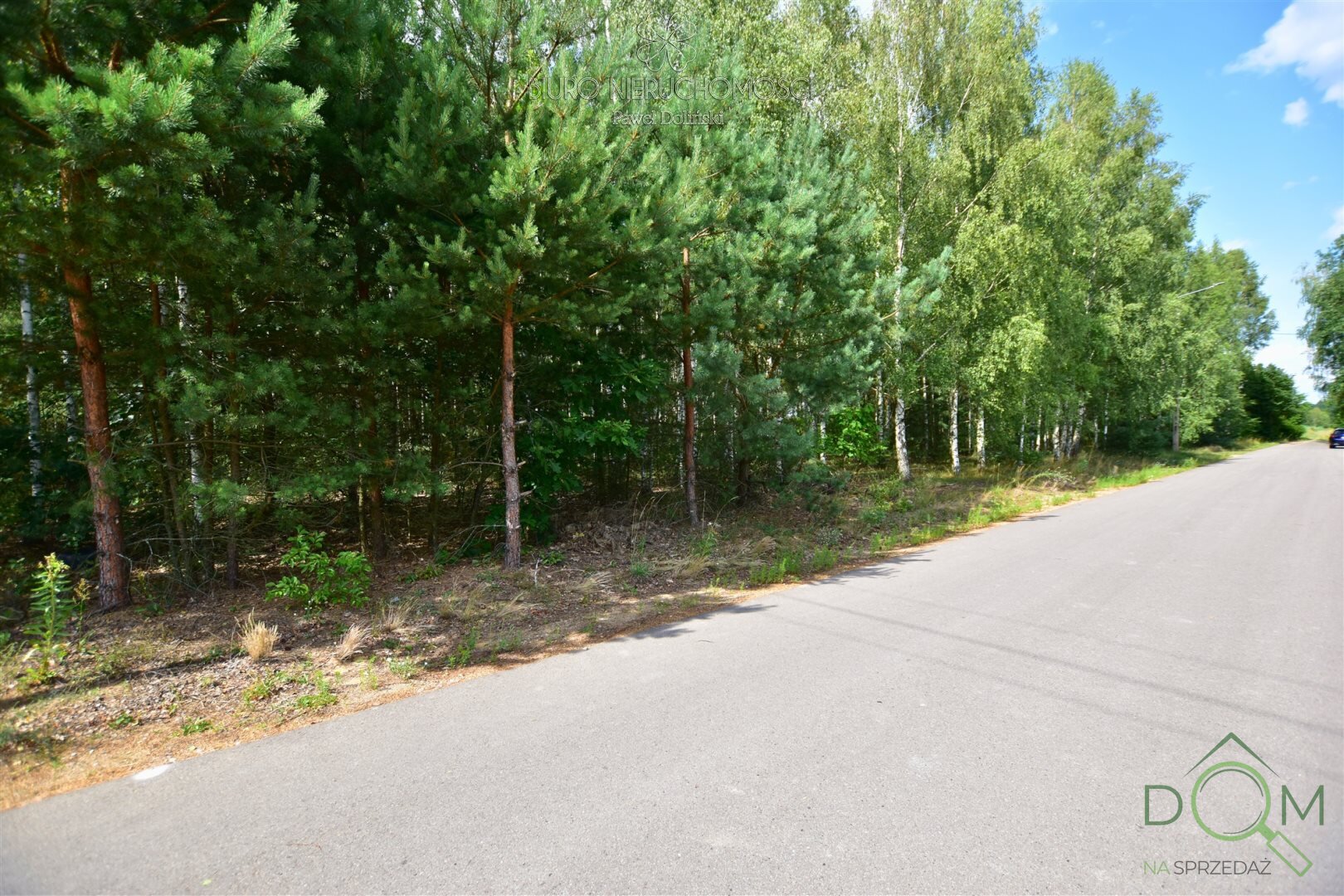 dolinscy_nieruchomosci_zs_PDN-GS-63_5.jpg