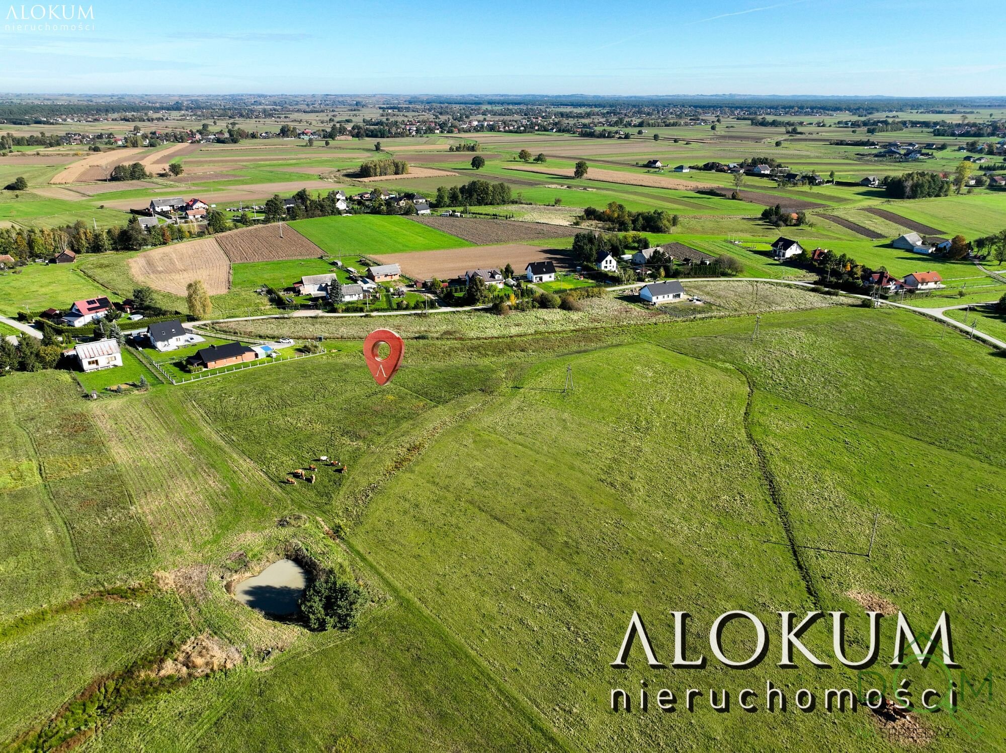 alokum_nieruchomosci_zs_3219_4.jpg