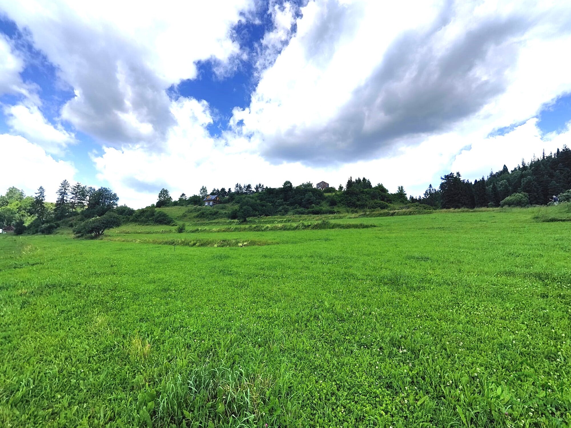 Zdjęcie WhatsApp 2025-06-25 o 15.32.08_4ccebd6a.jpg