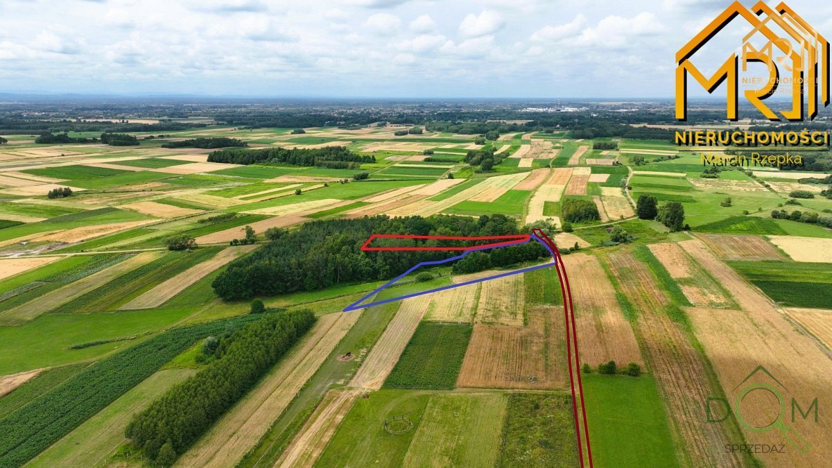 marcin_rzepka_nieruchomosci_zs_380_1.jpg