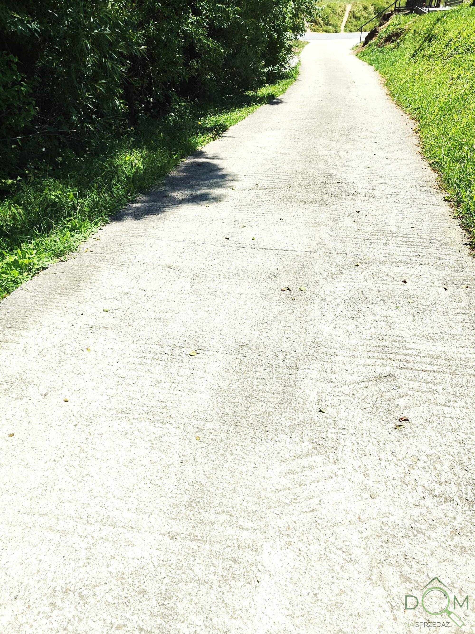 Zdjęcie WhatsApp 2025-07-01 o 15.50.55_0b05ac47.jpg