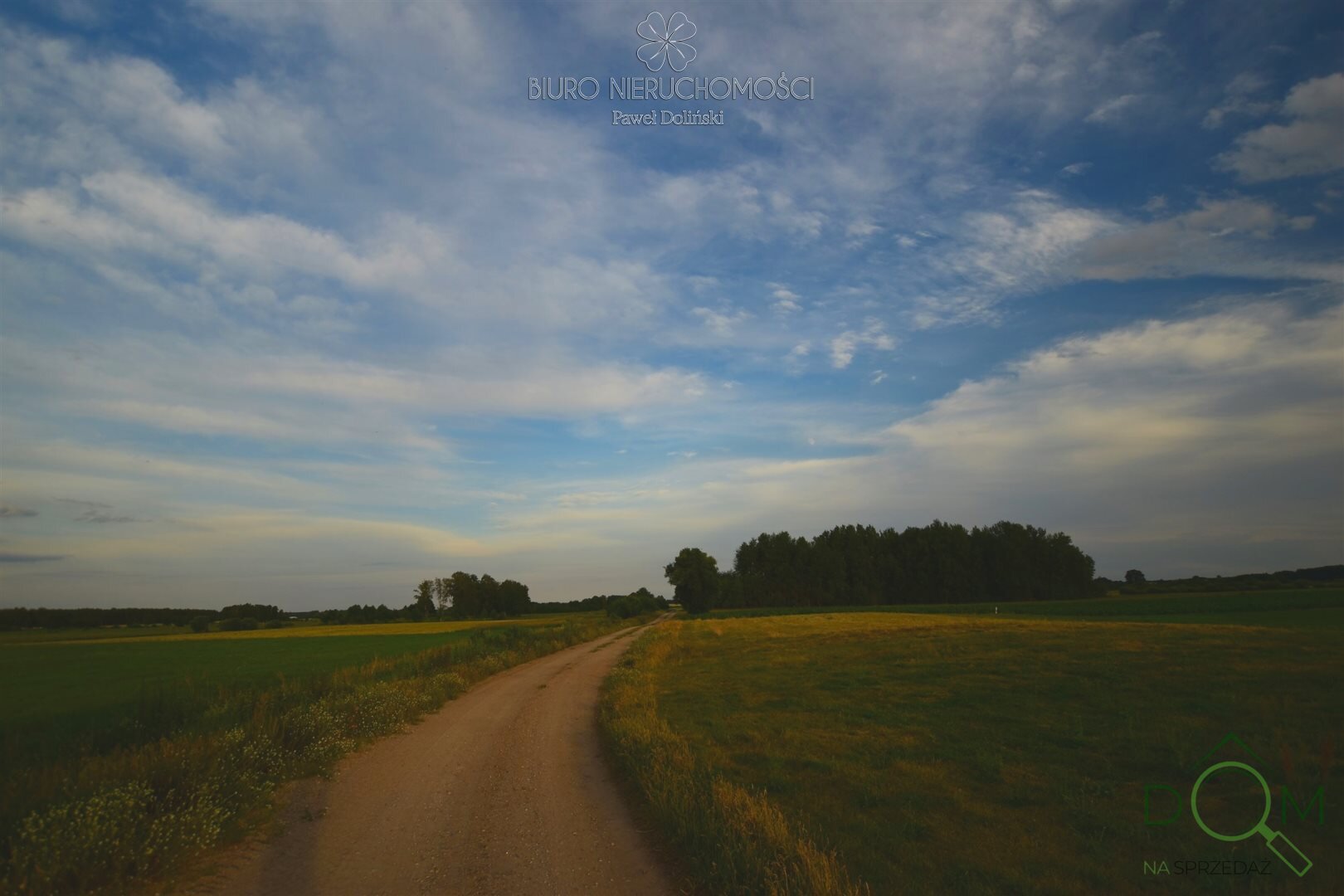 dolinscy_nieruchomosci_zs_PDN-GS-19_9.jpg
