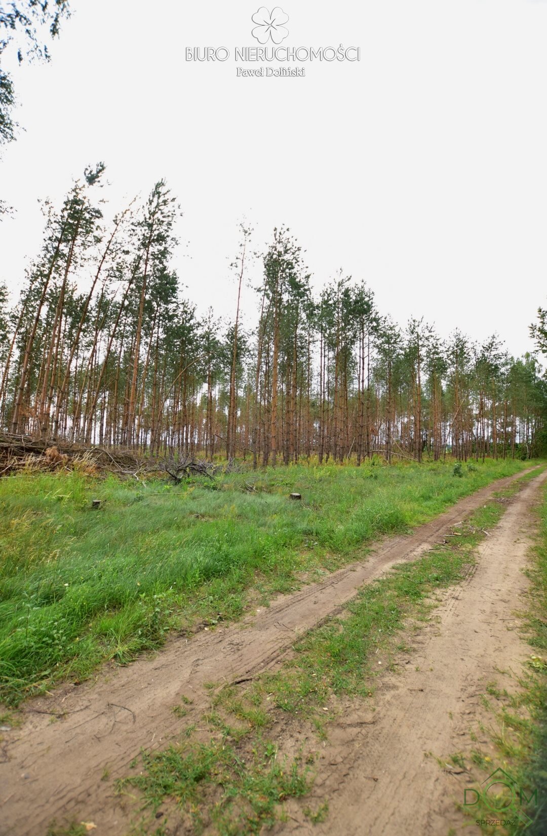 dolinscy_nieruchomosci_zs_PDN-GS-23-1_6.jpg