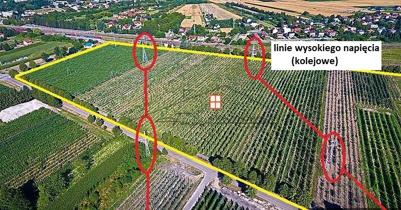 104888385.jpg