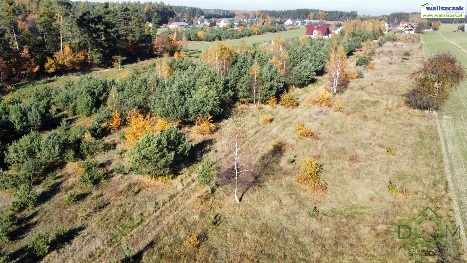 waliszczak_nieruchomosci_zs_GS-14640-3_9.jpg
