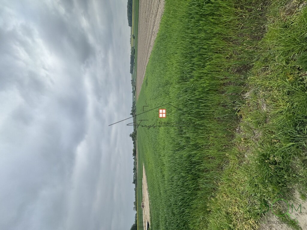 112673400.jpg