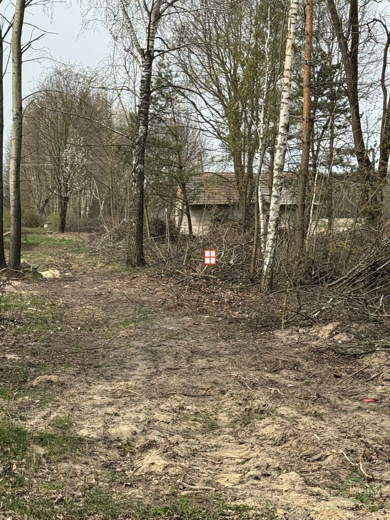 111916702.jpg