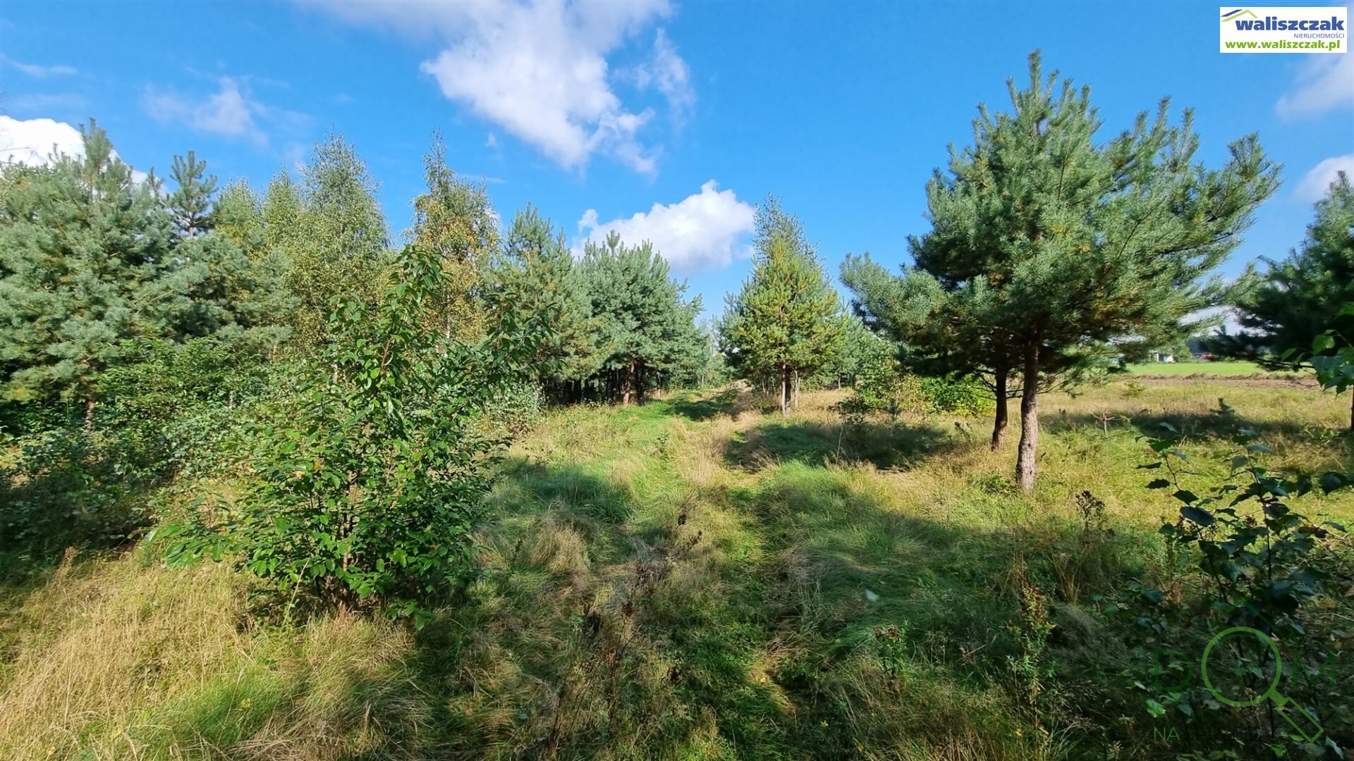 waliszczak_nieruchomosci_zs_GS-14640-4_4.jpg