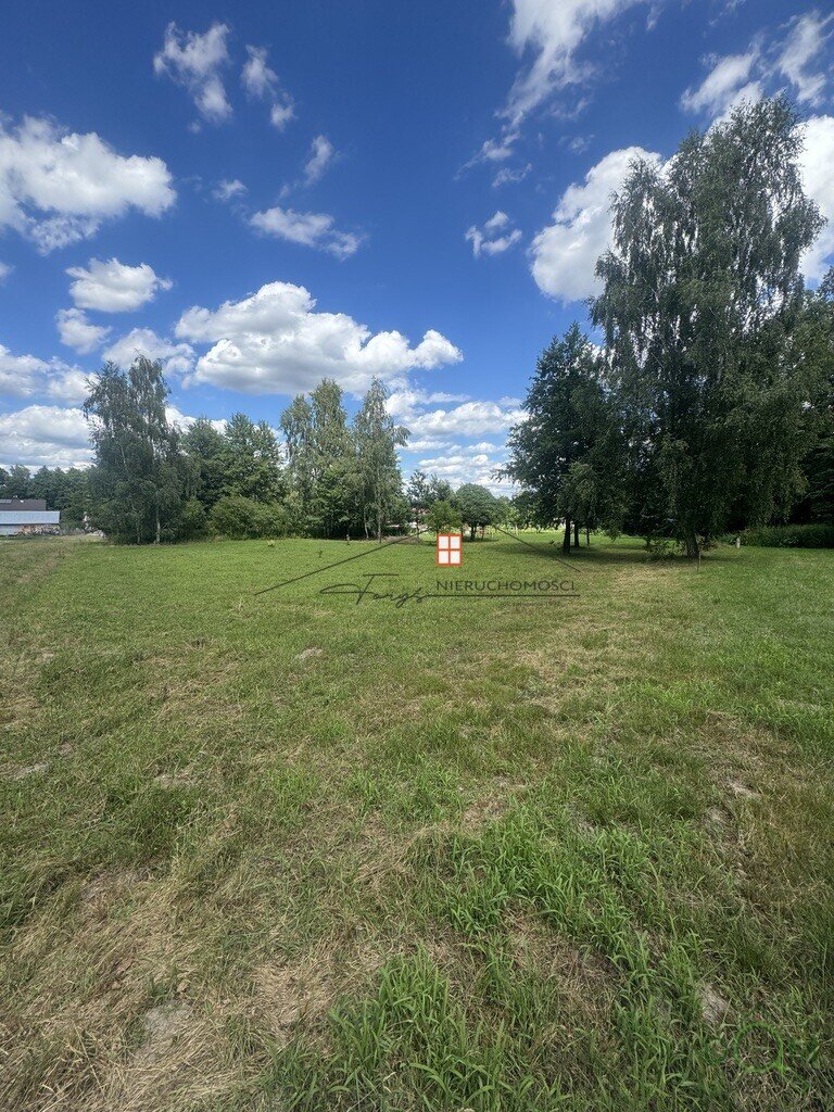 111455065.jpg