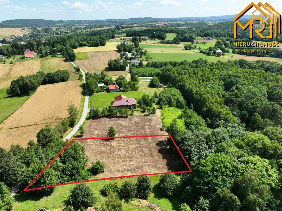 marcin_rzepka_nieruchomosci_zs_286_1.jpg
