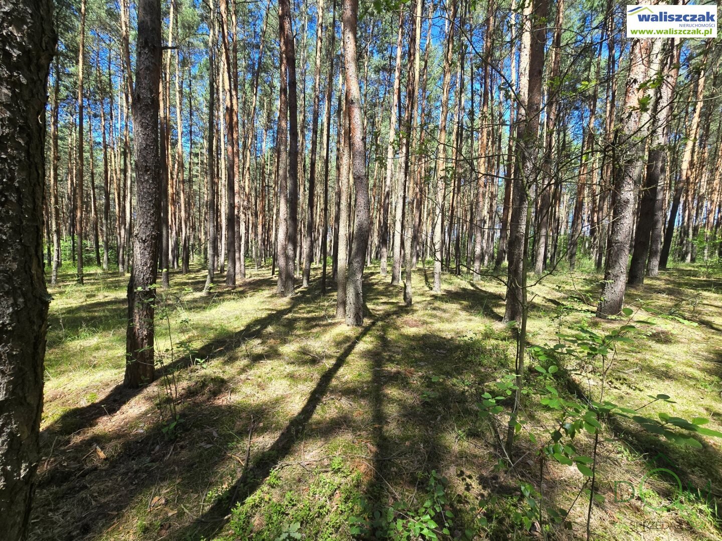 waliszczak_nieruchomosci_zs_GS-14515_1.jpg