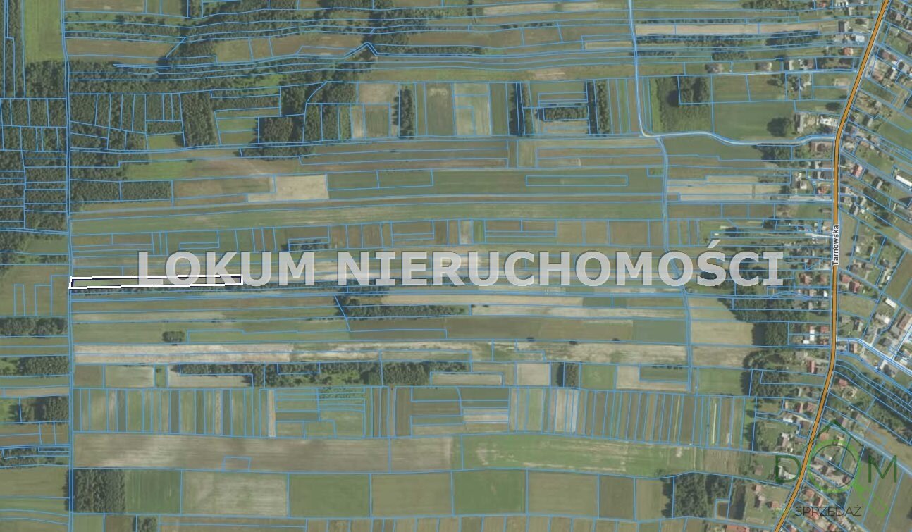 lokum_nieruchomosci_dt_zs_LOK-GS-1862_1.jpg