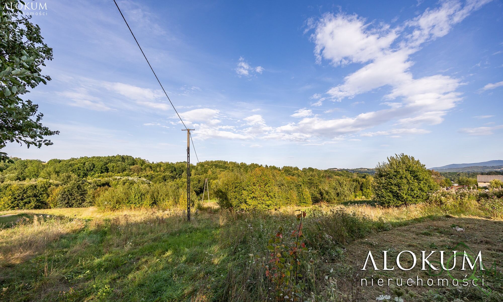 alokum_nieruchomosci_zs_3254_18.jpg