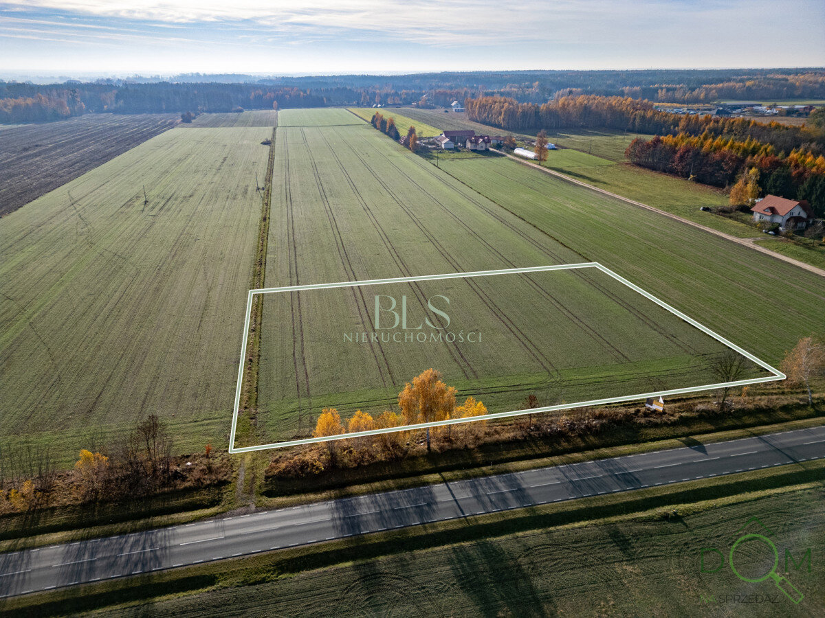 bls_nieruchomosci_zs_EC508588_2.jpg