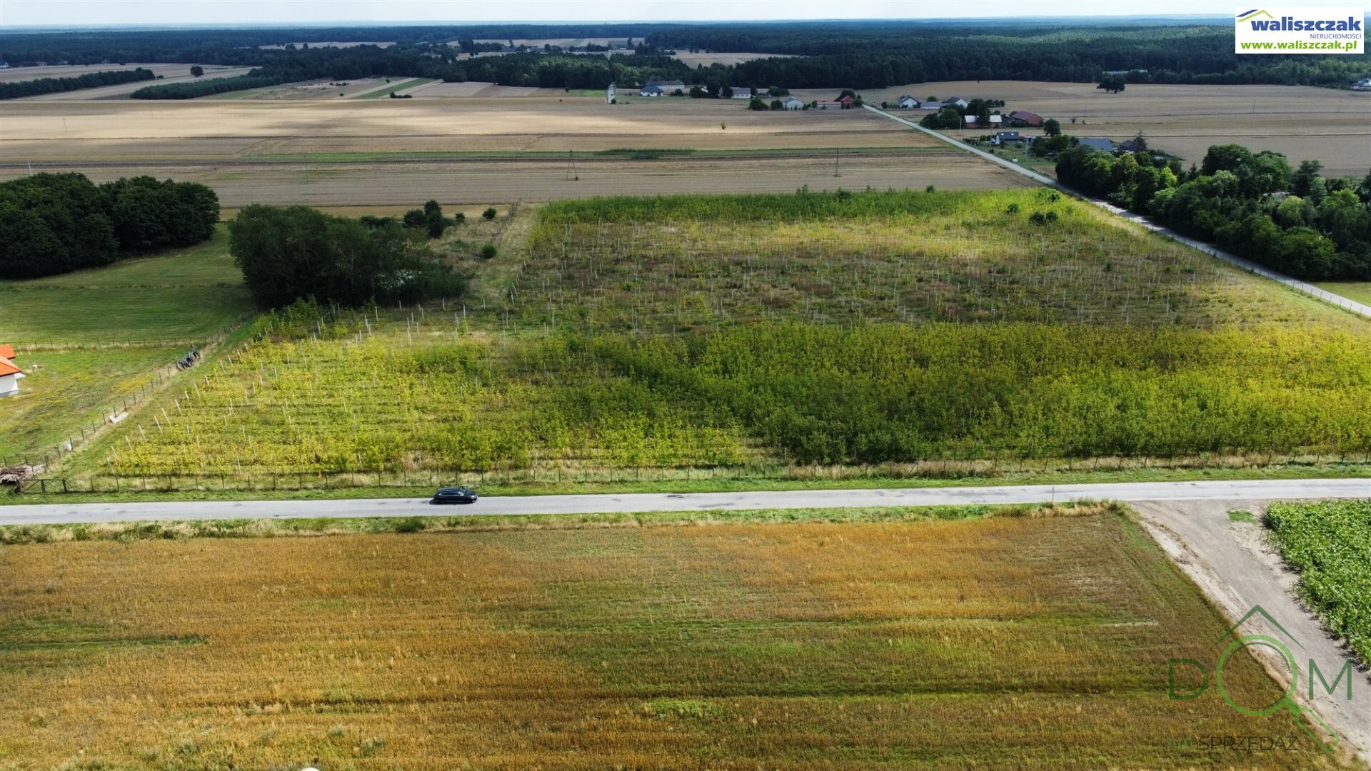 waliszczak_nieruchomosci_zs_GS-14276-1_2.jpg