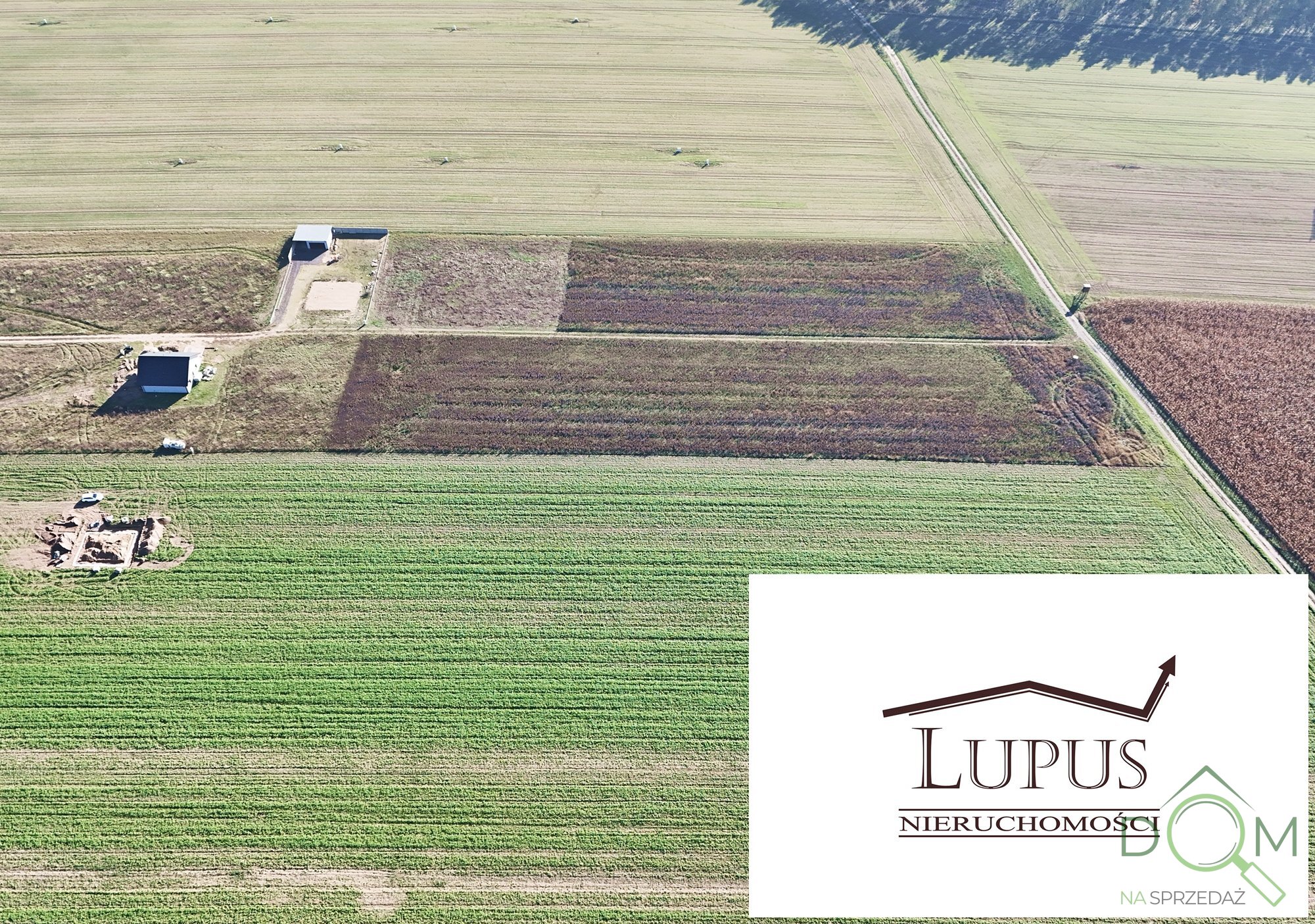 lupus_nieruchomosci_zs_2225_13.jpg