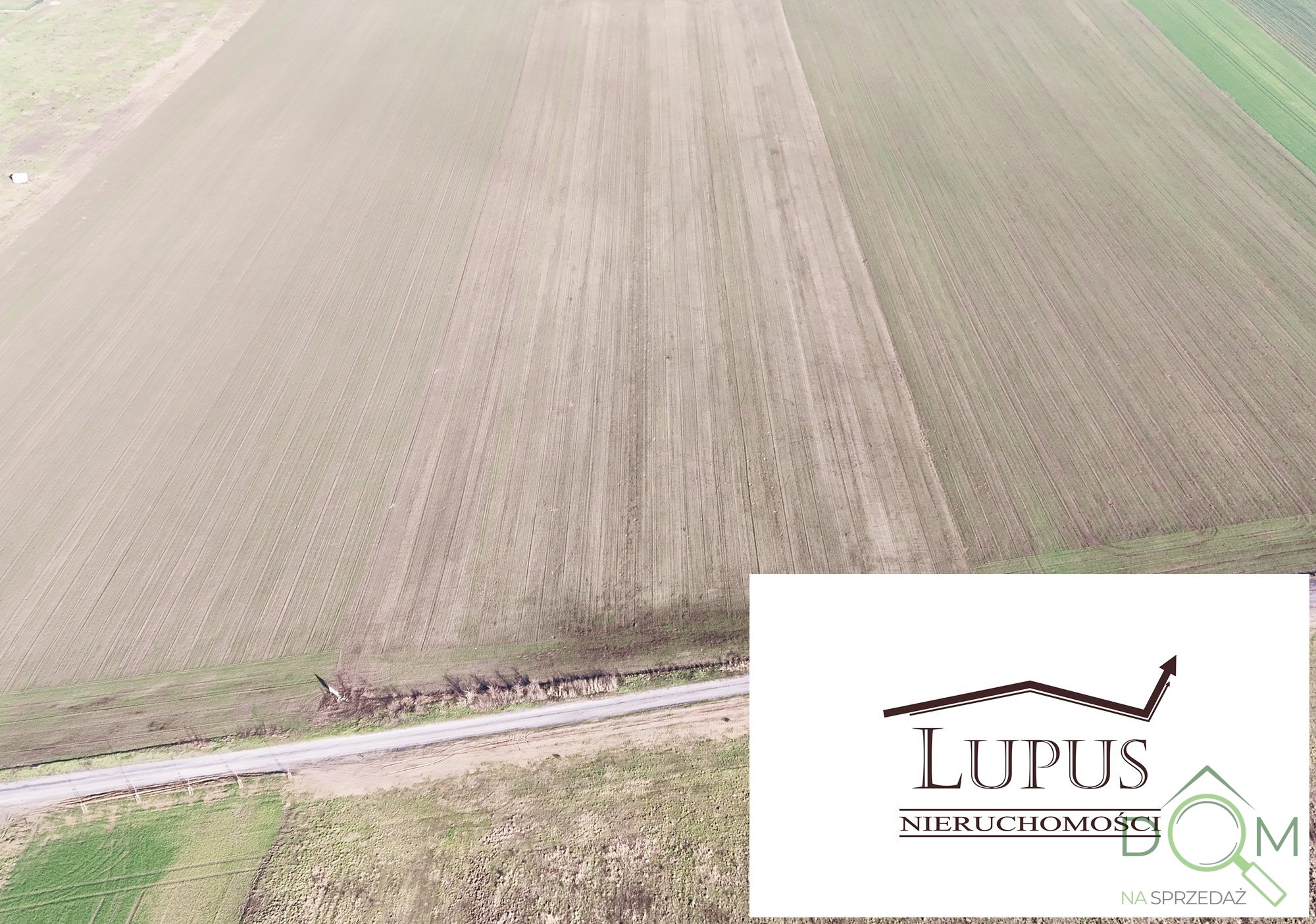 lupus_nieruchomosci_zs_2203_4.jpg