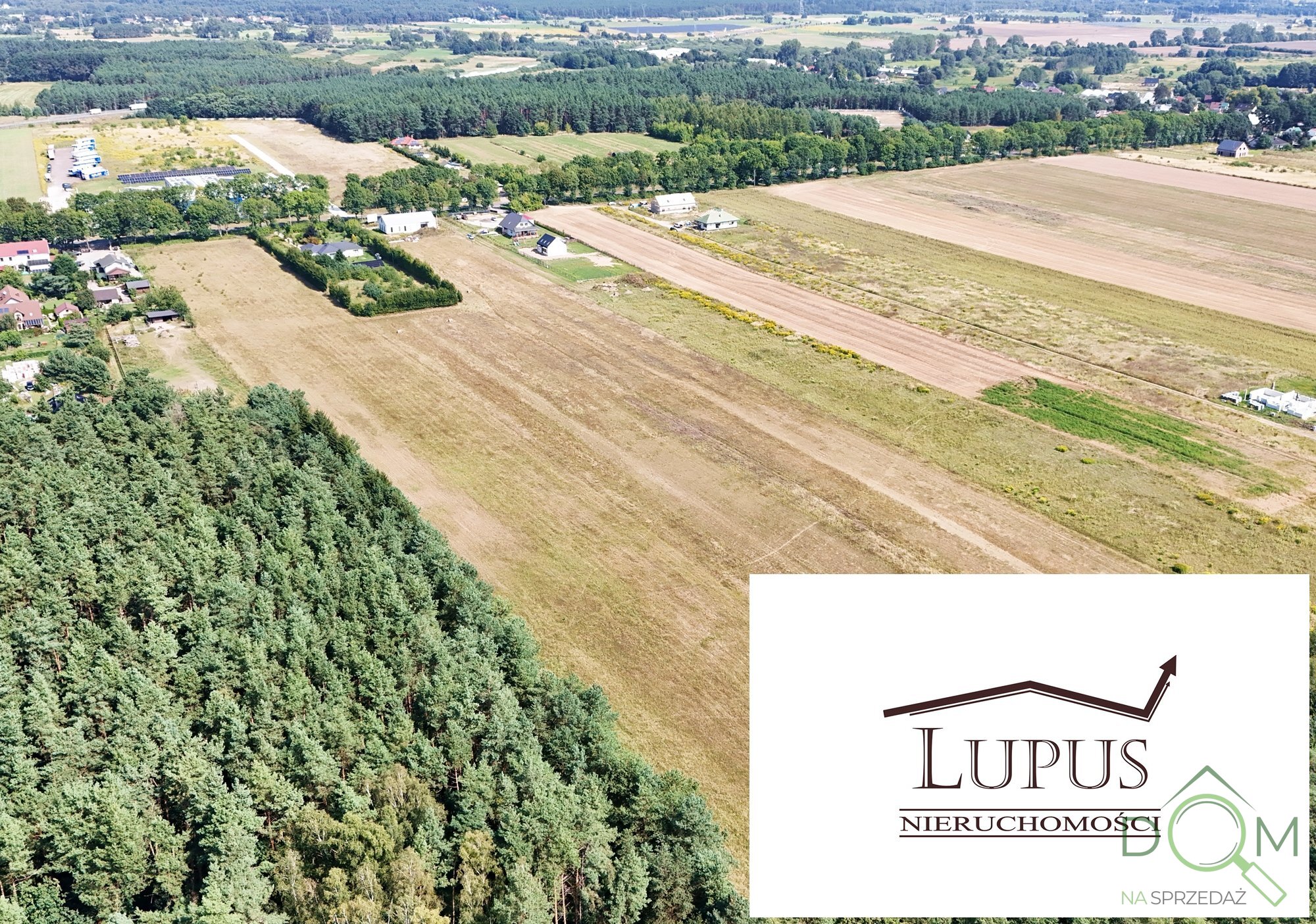 lupus_nieruchomosci_zs_2191_5.jpg